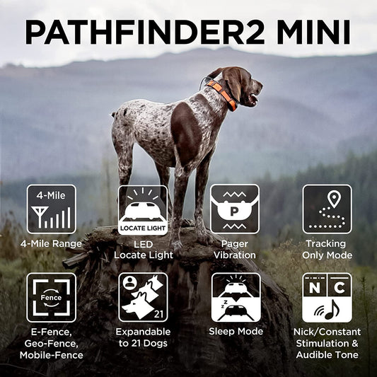 Dogtra Pathfinder2 Mini Additional Gps Dog Tracking And Dog Training Collar - Black