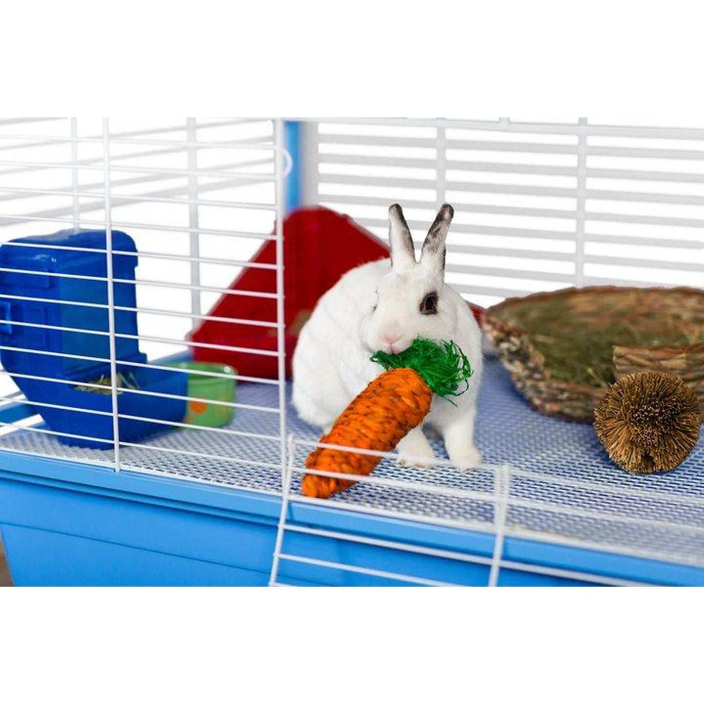 Prevue Pet Products Grassy Nibblers Carrot - 1082