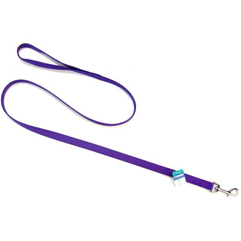Coastal Pet Nylon Lead - Purple - 4' Long X 5/8" Wide