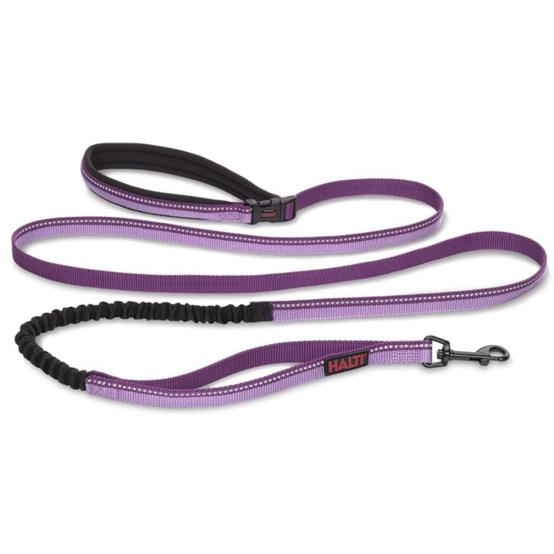 Company Of Animals Halti All In One Lead For Dogs Purple - Large