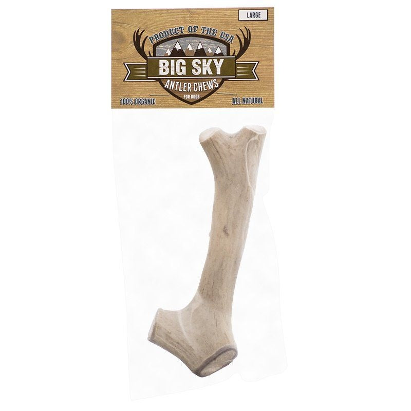 Big Sky Antler Chew For Dogs - Large - 1 Antler - Dogs Over 110 Lbs - (7"-8" Chew)
