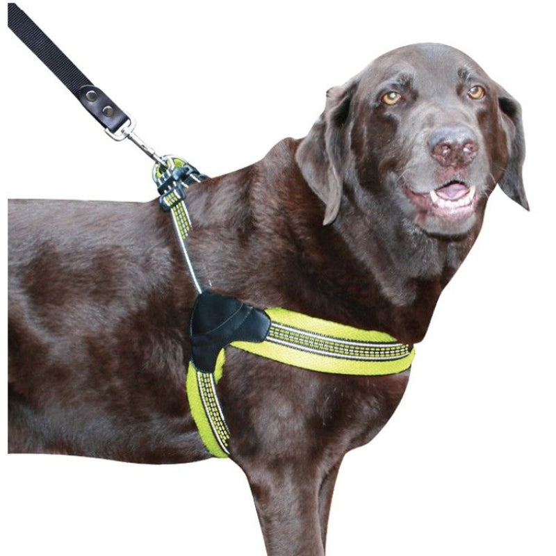 Sporn Easy Fit Dog Harness Yellow  - Large 1 Count