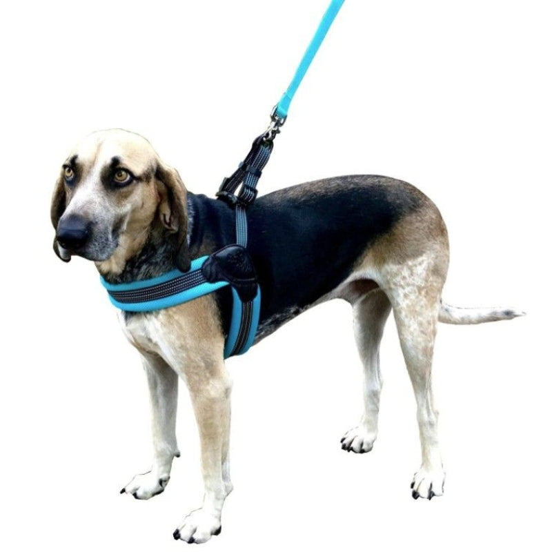 Sporn Easy Fit Dog Harness Blue - Medium 1 Count