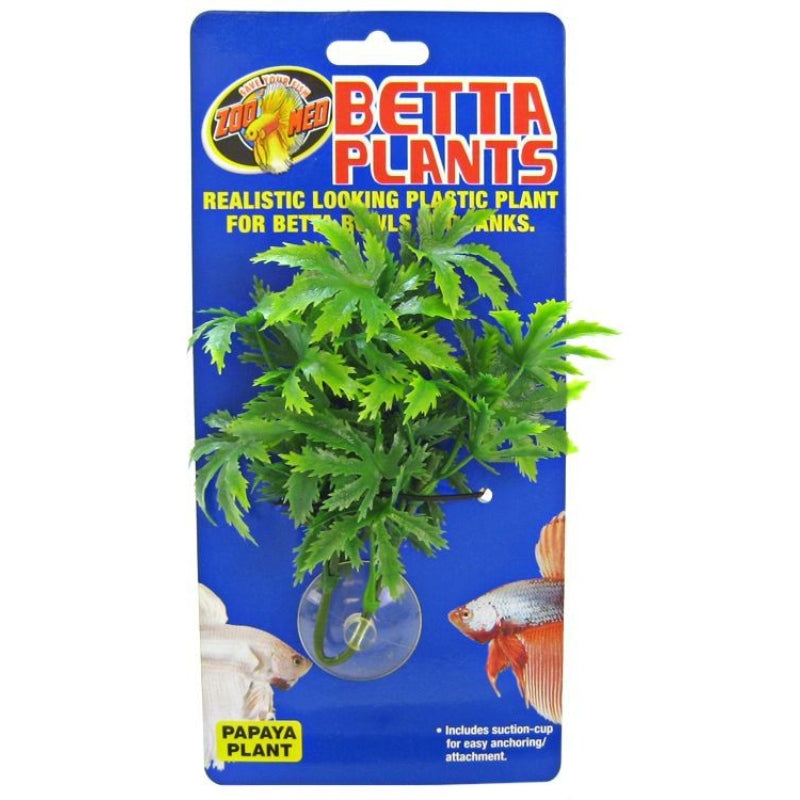 Zoo Med Aquatic Betta Plants - Papaya - Papaya Betta Plant